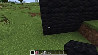 I BUILT A DICK (minecraft)