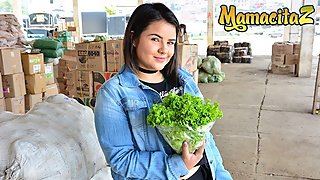 Carne Del Mercado - Busty Chubby Latina Babe Likes It Rough - MamacitaZ