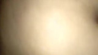 ?????? ??? ?????? ??????