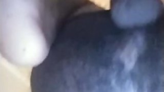 My smoke buddy showing out!