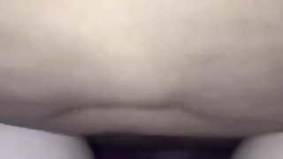 ?????????????????????(????????)