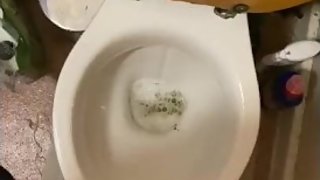 Playing around in the toilets