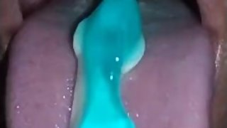 Vore Sharks against me